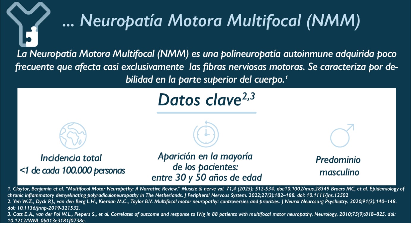… la neuropatía motora multifocal (NMM)? La neuropatía motora multifocal (NMM) es una polineuropatía autoinmunitaria adquirida poco frecuente que afecta casi exclusivamente a las fibras nerviosas motoras. Suele caracterizarse por debilidad en la parte superior del cuerpo. Datos clave: - Incidencia total