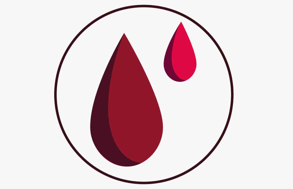 Goutte Hemostasia Projetos Desarrolo