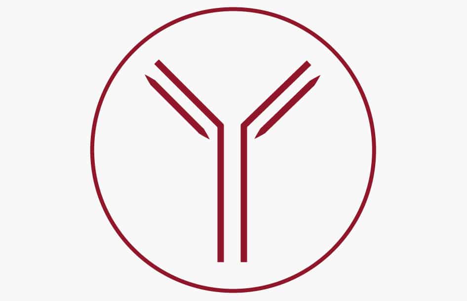 Ig Projetos Desarrollo