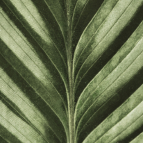 Notre Raisonetre En Action Header