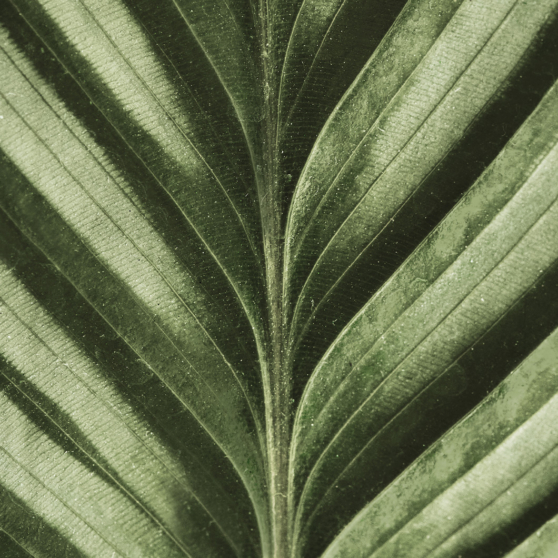 Notre Raisonetre En Action Header